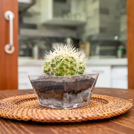 Magnifico Apto 2 Dorm 2 Banos En El Corazon De Aa Wifi Apartmán Sevilla